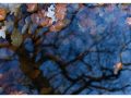 JDS_07-scaled