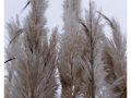 JDS_08-scaled
