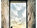 PAL_16-scaled