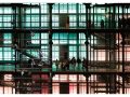 PAL_20-scaled