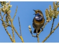 Gorge Bleue