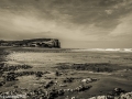 HLA_08