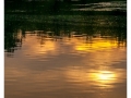JLE_27