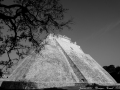 PPO_05